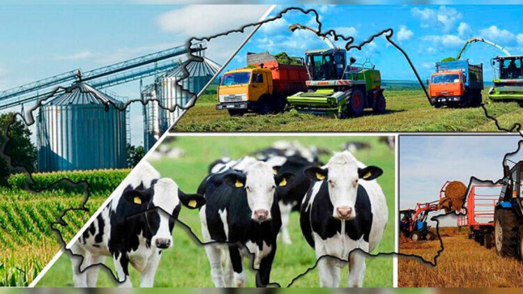 КӘСІПКЕРЛІККЕ КЕҢ ӨРІС