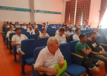 САРЫАҒАШ: ЖЫЛЫЖАЙ ШАРУАШЫЛЫҒЫ АУДАННЫҢ АГРОСАЛАСЫНЫҢ ЛОКОМОТИВІ