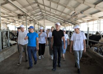 ТҮРКІСТАН: ОРДАБАСЫДА 300-ГЕ ЖУЫҚ ЖАС КӘСІПКЕРЛІК БОЙЫНША БІЛІМ ЖЕТІЛДІРДІ