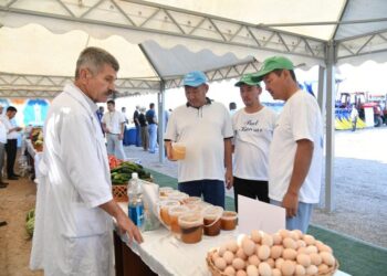 Д.САТЫБАЛДЫ АУЫЛ ТҰРҒЫНДАРЫНА ТАБЫС ТАБУДЫҢ ЖОЛДАРЫН ТҮСІНДІРДІ