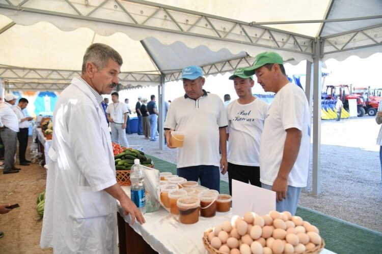 Д.САТЫБАЛДЫ АУЫЛ ТҰРҒЫНДАРЫНА ТАБЫС ТАБУДЫҢ ЖОЛДАРЫН ТҮСІНДІРДІ