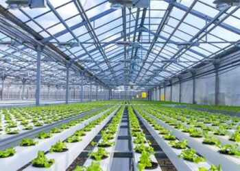 ТҮРКІСТАН: КЕЛЕСТЕ 4 ИНВЕСТИЦИЯЛЫҚ ЖОБАНЫҢ ҚҰРЫЛЫСЫ  ҚОЛҒА АЛЫНДЫ