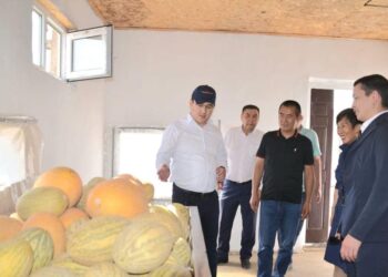 ТҮРКІСТАН: ҚЫТАЙЛЫҚ КОМПАНИЯ ЖЕТІСАЙҒА ИНВЕСТИЦИЯ САЛУҒА НИЕТТІ