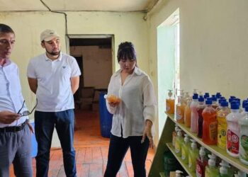 ТҮРКІСТАН: ШАРДАРАДА САБЫН ӨНДІРУ ОТБАСЫЛЫҚ КӘСІПКЕ АЙНАЛҒАН