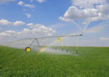 ТҮРКІСТАН: АУЫЛ ШАРУАШЫЛЫҒЫ САЛАСЫНДА 329,1 МЛРД. ТЕҢГЕНІ ҚҰРАЙТЫН 110 ИНВЕСТИЦИЯЛЫҚ ЖОБА ІСКЕ АСАДЫ