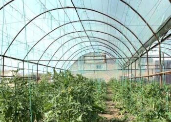 Ж.ЕРАЛИЕВ АУЫЛДЫҚ ОКРУГІНДЕ 51 ЖОБА МАҚҰЛДАНҒАН