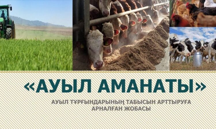 «АУЫЛ АМАНАТЫ» АЯСЫНДА 102 ЖОБА ҚАРЖЫЛАНДЫРЫЛҒАН