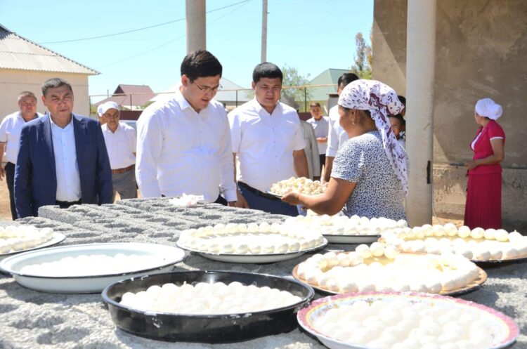 ТҮРКІСТАН: ЖЕТІСАЙДА «АУЫЛ АМАНАТЫ» АЯСЫНДА 102 ЖОБА ҚАРЖЫЛАНДЫРЫЛҒАН