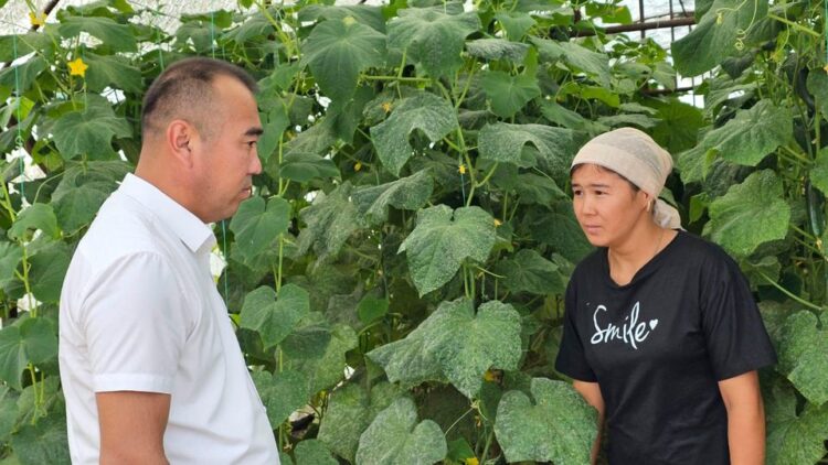 ШАРДАРАДА КӨПБАЛАЛЫ АНА ГРАНТ АЛЫП, ЖЫЛЫЖАЙ САЛҒАН