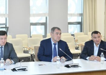 ДАРХАН САТЫБАЛДЫ ОТАНДЫҚ ИНВЕСТОРЛАРМЕН КЕЗДЕСТІ