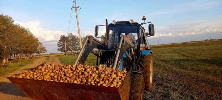 ТҮРКІСТАН: САЙРАМДЫҚ АЗАМАТ ТЕРІСКЕЙДЕ 400 СИЫР БАҒЫП ШАРУАСЫН ДӨҢГЕЛЕТІП ОТЫР
