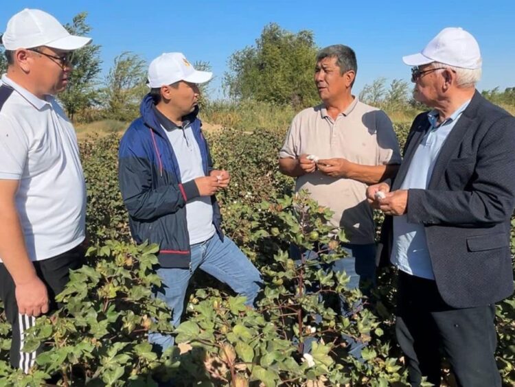 ТҮРКІСТАН: «АГРО КЕҢЕС БЕРУ ОРТАЛЫҒЫ» ШАРУАЛАРҒА ҚОЛДАУ КӨРСЕТУДЕ