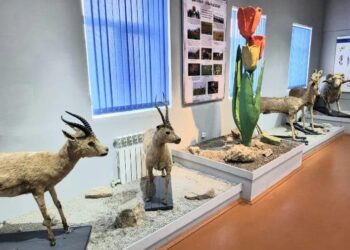 ҚОНАҚ АЗ ОТЫРЫП–КӨП СЫНАЙДЫ немесе қонақ жай үйлері табыс көзі ме?