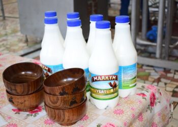 ТҮРКІСТАН: ОТЫРАРЛЫҚ КӘСІПОРЫН КҮНІНЕ 500 ЛИТР ШҰБАТ ӨНДІРЕДІ