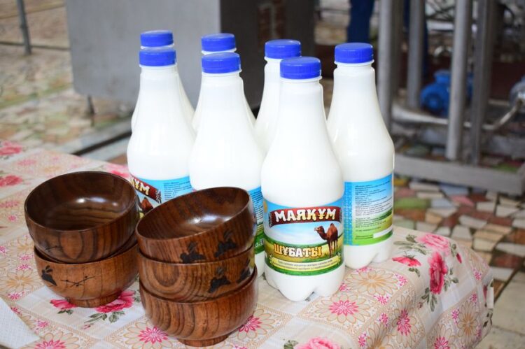 ТҮРКІСТАН: ОТЫРАРЛЫҚ КӘСІПОРЫН КҮНІНЕ 500 ЛИТР ШҰБАТ ӨНДІРЕДІ