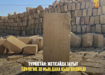 ТҮРКІСТАН: ЖЕТІСАЙДА ЗАУЫТ ТӘУЛІГІНЕ 30 МЫҢ ДАНА ҚЫШ ӨНДІРЕДІ