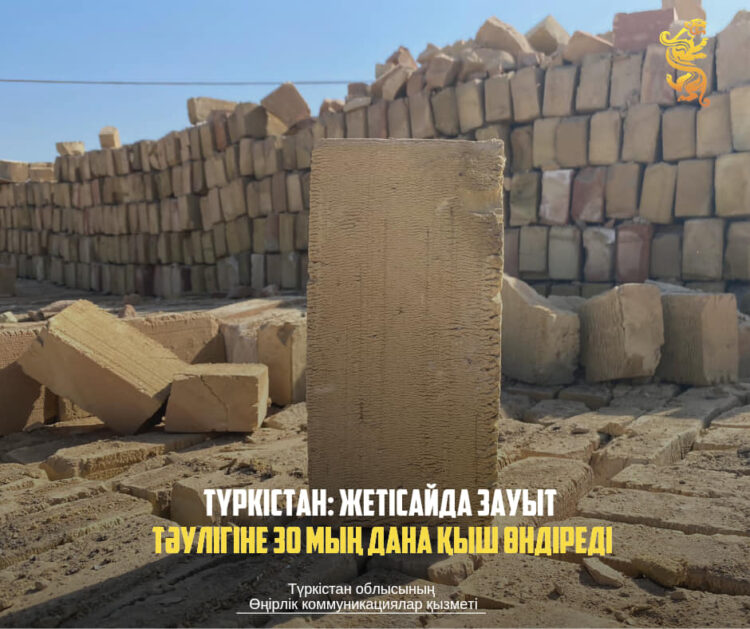 ТҮРКІСТАН: ЖЕТІСАЙДА ЗАУЫТ ТӘУЛІГІНЕ 30 МЫҢ ДАНА ҚЫШ ӨНДІРЕДІ