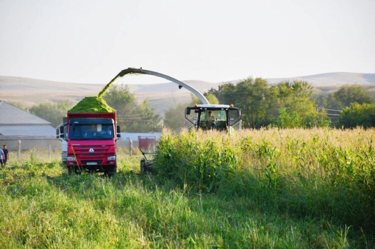 ТҮРКІСТАН: ШАРУАЛАРДЫ КООПЕРАТИВКЕ БІРІКТІРУДІҢ ӨНІМДІЛІГІ ЖОҒАРЫ