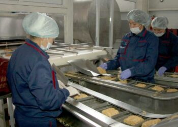 ТҮРКІСТАН: ҚАЗЫҒҰРТТА ЖЫЛДАМ ДАЙЫНДАЛАТЫН КЕСПЕЛЕР ӨНДІРІЛЕДІ