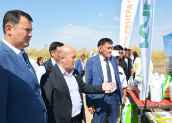 ШАРДАРАДА МАҚТА САЛАСЫНЫҢ МӘН-ЖАЙЫ ТАЛҚЫЛАНДЫ