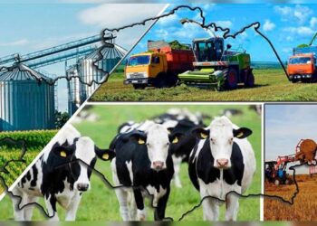 ТҮРКІСТАН: «АУЫЛ АМАНАТЫ» АРҚЫЛЫ ЖАЛПЫ 10,3 МЛРД. ТЕҢГЕНІҢ ЖОБАЛАРЫ ҚАРЖЫЛАНДЫРЫЛДЫ