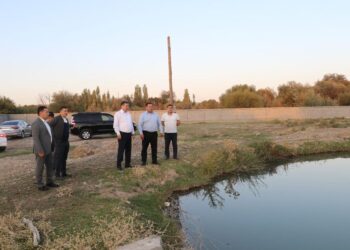 ТҮЛКІБАС АУДАНЫНДА БАЛЫҚ ШАРУАШЫЛЫҒЫНА ҚЫЗЫҒУШЫЛАР ҚАТАРЫ АРТЫП КЕЛЕДІ