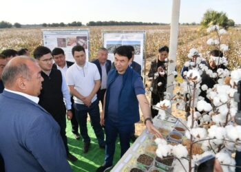 ТҮРКІСТАН ОБЛЫСЫНДА «АУЫЛ АМАНАТЫ» ЖОБАСЫ ЖҮЗЕГЕ АСҚАЛЫ АӘК АЛУШЫЛАР АЗАЮДА