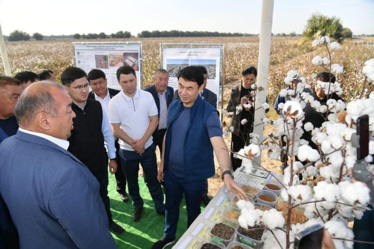 ТҮРКІСТАН ОБЛЫСЫНДА «АУЫЛ АМАНАТЫ» ЖОБАСЫ ЖҮЗЕГЕ АСҚАЛЫ АӘК АЛУШЫЛАР АЗАЮДА