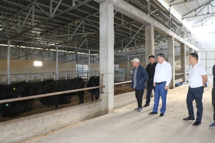 ТҮЛКІБАС АУДАНЫНДА МАЛ БОРДАҚЫЛАУ ІСІМЕН АЙНАЛУШЫЛАР ҚАТАРЫ АРТЫП КЕЛЕДІ