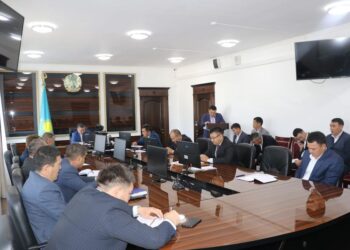 ТҮЛКІБАС АУДАНЫНДА ЖЫЛ БАСЫНАН БЕРІ 195 КӘСІПКЕРЛІК ЖОБА ҚАРЖЫЛАНДЫРЫЛҒАН