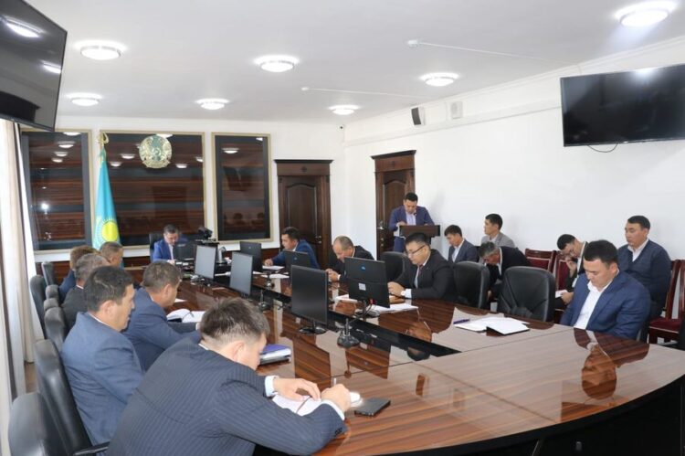 ТҮЛКІБАС АУДАНЫНДА ЖЫЛ БАСЫНАН БЕРІ 195 КӘСІПКЕРЛІК ЖОБА ҚАРЖЫЛАНДЫРЫЛҒАН