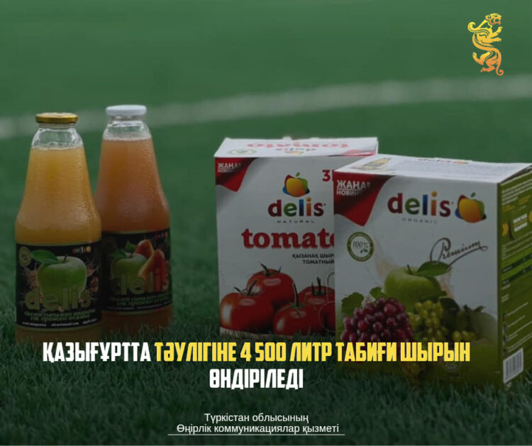 ТҮРКІСТАН: ҚАЗЫҒҰРТТА ТӘУЛІГІНЕ 4 500 ЛИТР ТАБИҒИ ШЫРЫН ӨНДІРІЛЕДІ