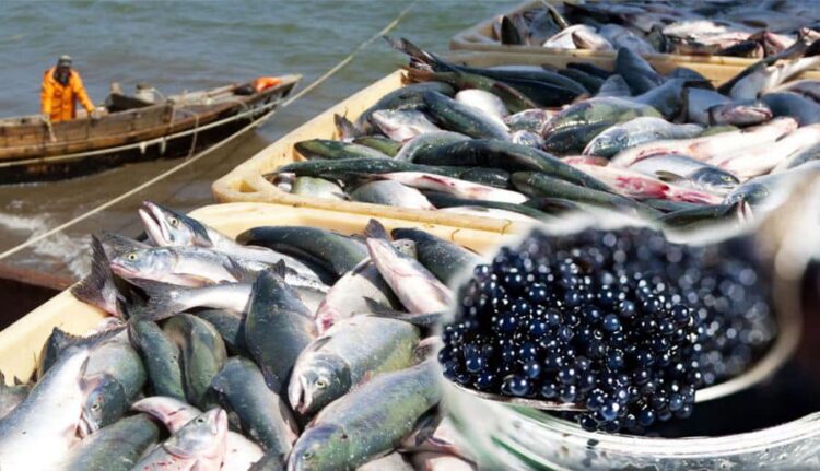 ТҮРКІСТАН ОБЛЫСЫНДА БАЛЫҚ ШАРУАШЫЛЫҒЫН  ДАМЫТУ БАҒЫТЫНДА  РЕСПУБЛИКАЛЫҚ ФОРУМ ӨТЕДІ