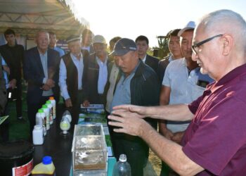 ТҮРКІСТАН: ОРДАБАСЫДА ШАРУАЛАРҒА МОЛ ӨНІМ АЛУДЫҢ ЖОЛДАРЫ ТҮСІНДІРІЛДІ