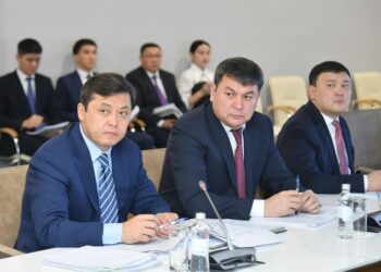 Д.САТЫБАЛДЫ: «БЮДЖЕТТІҢ ӘР ТИЫНЫНЫҢ ЕСЕБІ БАР»