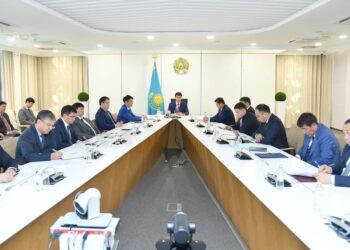 ТҮРКІСТАН ОБЛЫСЫНДА КҮЗГІ АҒАШ ОТЫРҒЫЗУ ЖҰМЫСТАРЫ БАСТАЛАДЫ