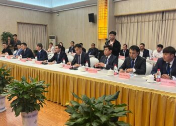 ТҮРКІСТАН ОБЛЫСЫНЫҢ ДЕЛЕГАЦИЯСЫ ҚЫТАЙДА ИНВЕСТОРЛАРМЕН КЕЗДЕСТІ