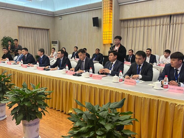 ТҮРКІСТАН ОБЛЫСЫНЫҢ ДЕЛЕГАЦИЯСЫ ҚЫТАЙДА ИНВЕСТОРЛАРМЕН КЕЗДЕСТІ