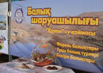 ТҮРКІСТАН ОБЛЫСЫНДА БАЛЫҚ ШАРУАШЫЛЫҒЫН ДАМЫТУ БАҒЫТЫНДА РЕСПУБЛИКАЛЫҚ ФОРУМ ӨТТІ