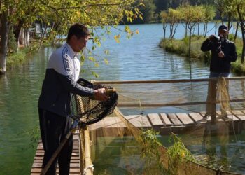 ТҮРКІСТАН ОБЛЫСЫНДА БАЛЫҚ АУЛАУДАН САЙЫС ӨТТІ