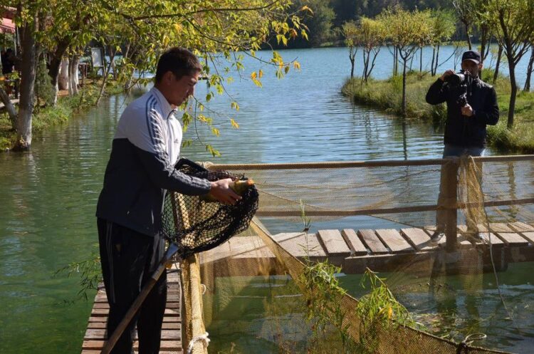 ТҮРКІСТАН ОБЛЫСЫНДА БАЛЫҚ АУЛАУДАН САЙЫС ӨТТІ