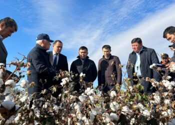 ТҮРКІСТАН: ОРДАБАСЫ АУДАНЫНДА АУЫЛШАРУАШЫЛЫҒЫ МАМАНДАРЫНЫҢ СЕМИНАРЫ ӨТТІ