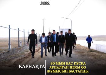 КЕНТАУ: ҚАРНАҚТА 60 МЫҢ БАС ҚҰСҚА АРНАЛҒАН ЦЕХЫ ӨЗ ЖҰМЫСЫН БАСТАЙДЫ