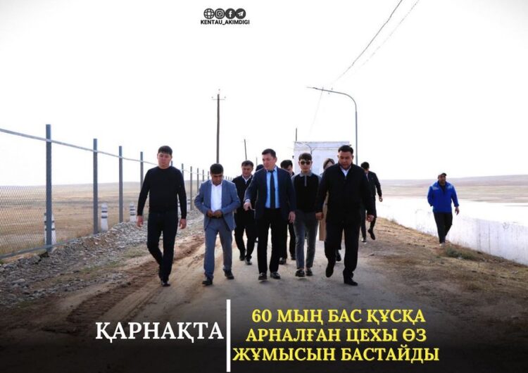 КЕНТАУ: ҚАРНАҚТА 60 МЫҢ БАС ҚҰСҚА АРНАЛҒАН ЦЕХЫ ӨЗ ЖҰМЫСЫН БАСТАЙДЫ