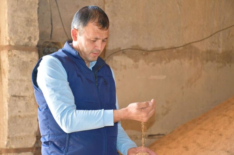 ТҮРКІСТАН: ОРДАБАСЫДА 341 МЫҢ ТОННА МАЛ АЗЫҒЫ ЖИНАЛДЫ