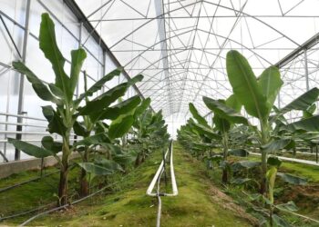 ТҮРКІСТАН: САЙРАМ АУДАНЫНДА 11 МЛРД. ТЕҢГЕГЕ 9 ЖОБА ІСКЕ ҚОСЫЛДЫ