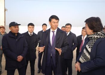 ТҮРКІСТАН: АРЫСТА ҚҰС ФЕРМАСЫ АШЫЛАДЫ