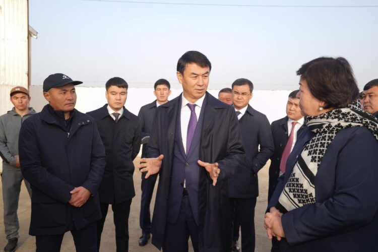 ТҮРКІСТАН: АРЫСТА ҚҰС ФЕРМАСЫ АШЫЛАДЫ