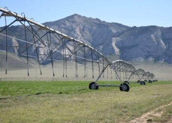 ТҮРКІСТАН ОБЛЫСЫНДА ЭКОНОМИКАЛЫҚ КӨРСЕТКІШТЕР БОЙЫНША СОЗАҚ АУДАНЫ КӨШ БАСТАП ТҰР