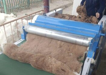 ТҮРКІСТАН: СОЗАҚТА «АУЫЛ АМАНАТЫНЫҢ» АРҚАСЫНДА КӘСІП АШҚАНДАР САНЫ КӨБЕЙІП КЕЛЕДІ